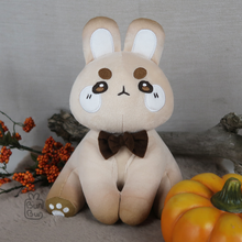Load image into Gallery viewer, BunBun & Friends Plushie | Plushie