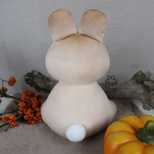 Load image into Gallery viewer, BunBun & Friends Plushie | Plushie