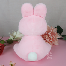 Load image into Gallery viewer, BunBun & Friends Plushie | Plushie