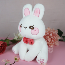 Load image into Gallery viewer, BunBun & Friends Plushie | Plushie