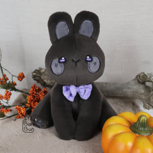 Load image into Gallery viewer, BunBun & Friends Plushie | Plushie