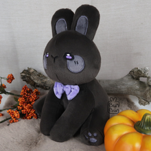 Load image into Gallery viewer, BunBun & Friends Plushie | Plushie