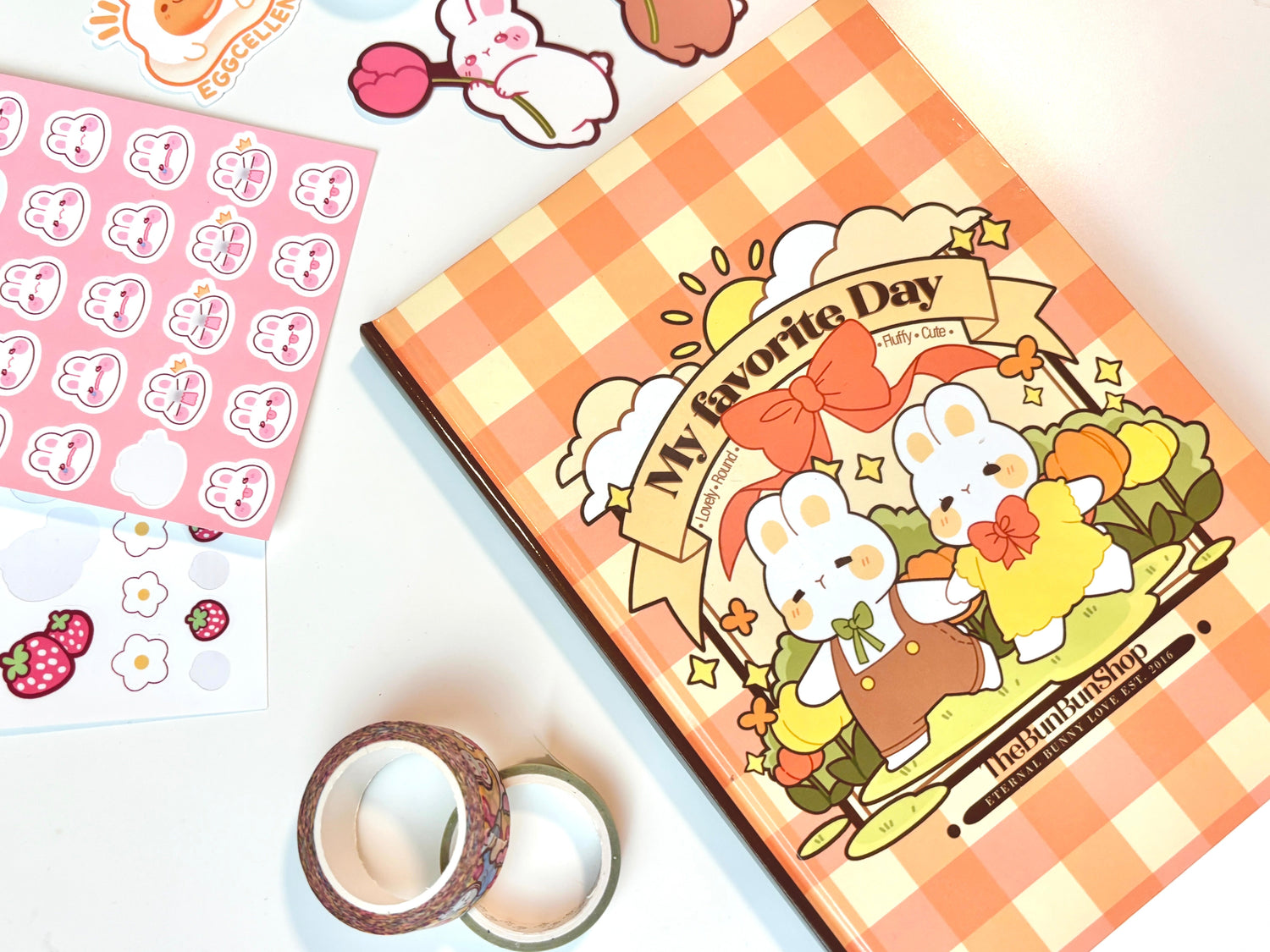 BunBun Journal #1 - Picnic Day with BunBun