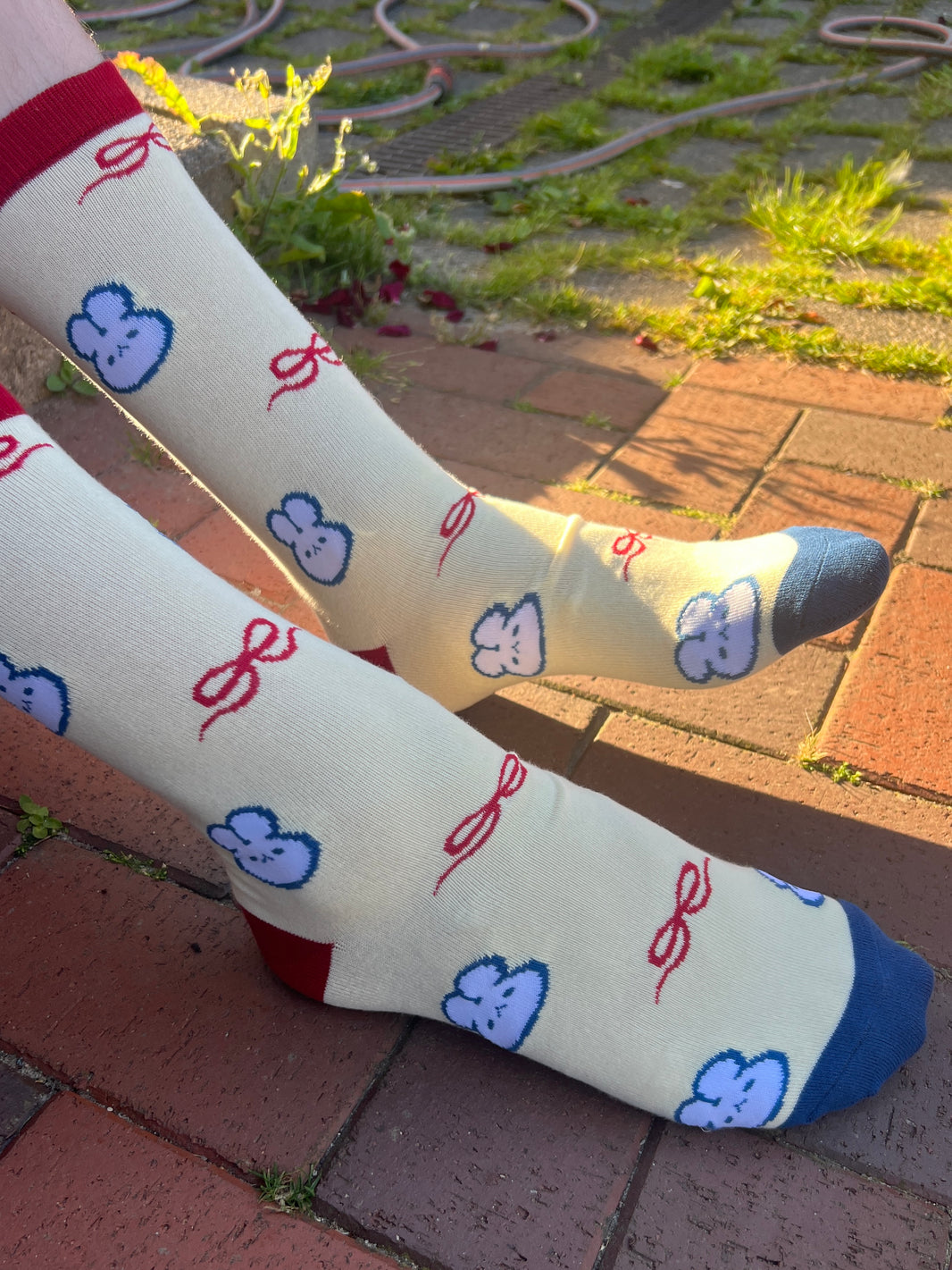 Classic Bunny Socks | Fashion